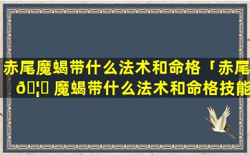 赤尾魔蝎带什么法术和命格「赤尾 🦈 魔蝎带什么法术和命格技能」